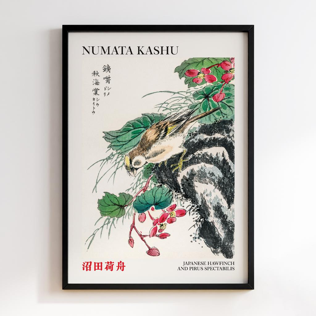 Постер Japanese Hawfinch and Pirus Spectabilis illustration by Numata Kashu