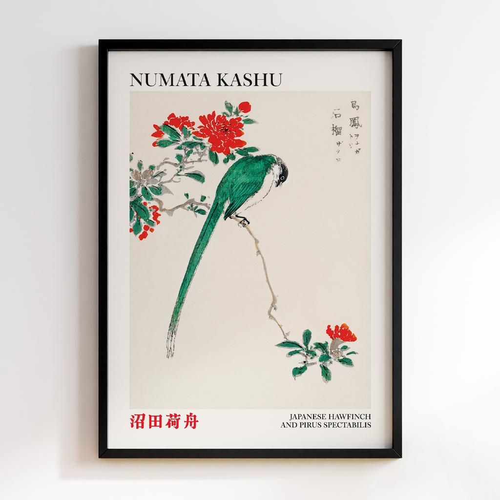 Постер Japanese Long-tailed Tit and Pomegranate by Numata Kashu