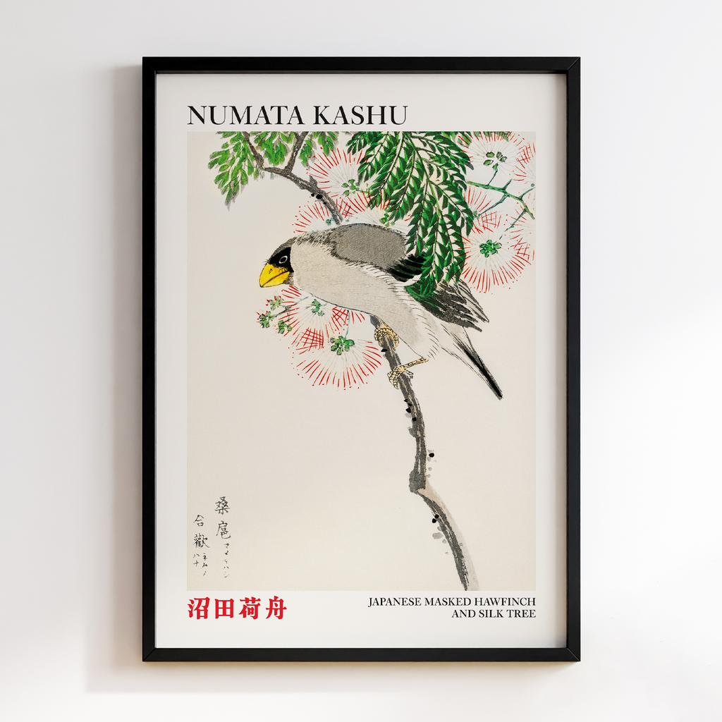 Постер Japanese Masked Hawfinch and Silk Tree illustration by Numata Kashu