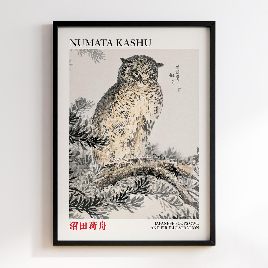 Постер Japanese Scops Owl by Numata Kashu