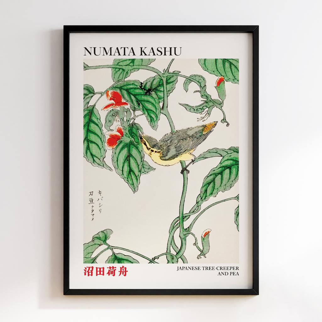 Постер Japanese Tree-creeper and Pea illustration by Numata Kashu