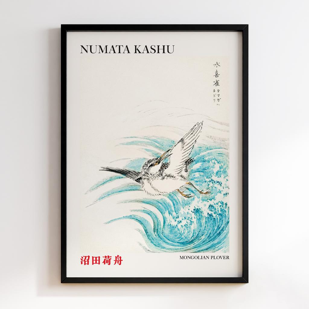 Постер Mongolian Plover illustration by Numata Kashu