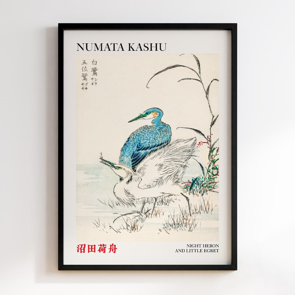 Постер Night Heron and Little Egret illustration by Numata Kashu