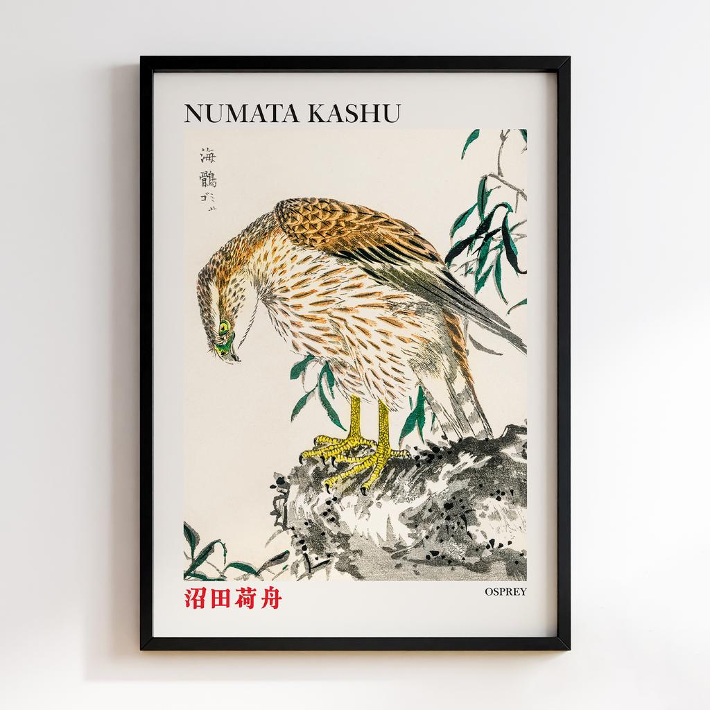 Постер Osprey illustration by Numata Kashu