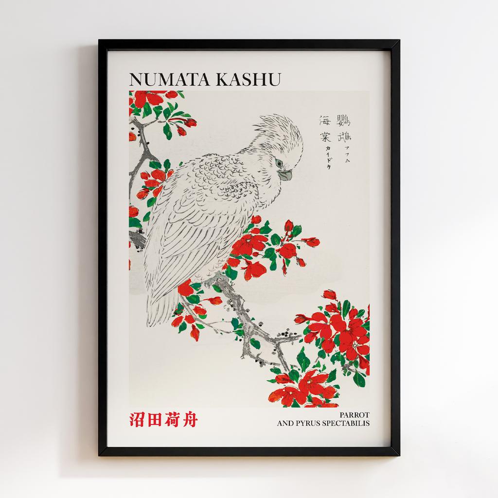 Постер Parrot and Pyrus spectabilis illustration by Numata Kashu