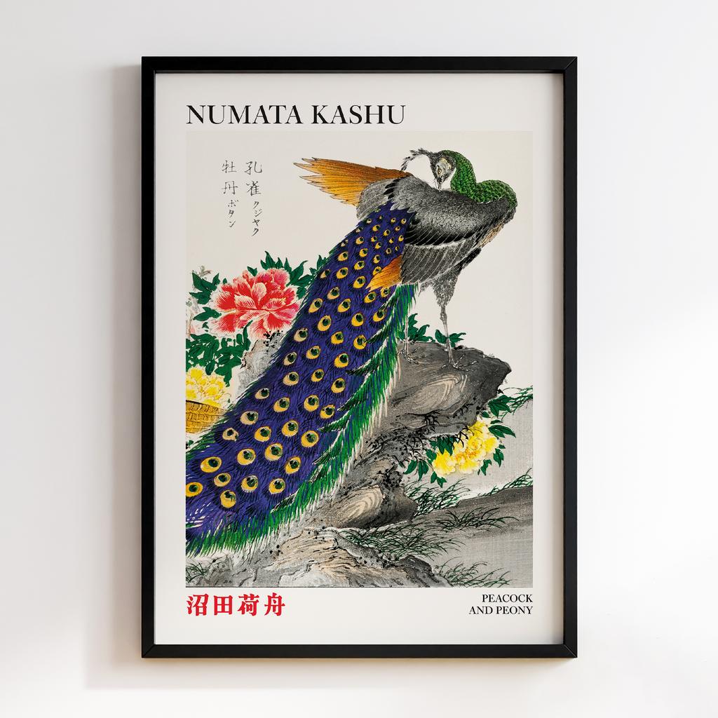 Постер Peacock and Peony illustration by Numata Kashu