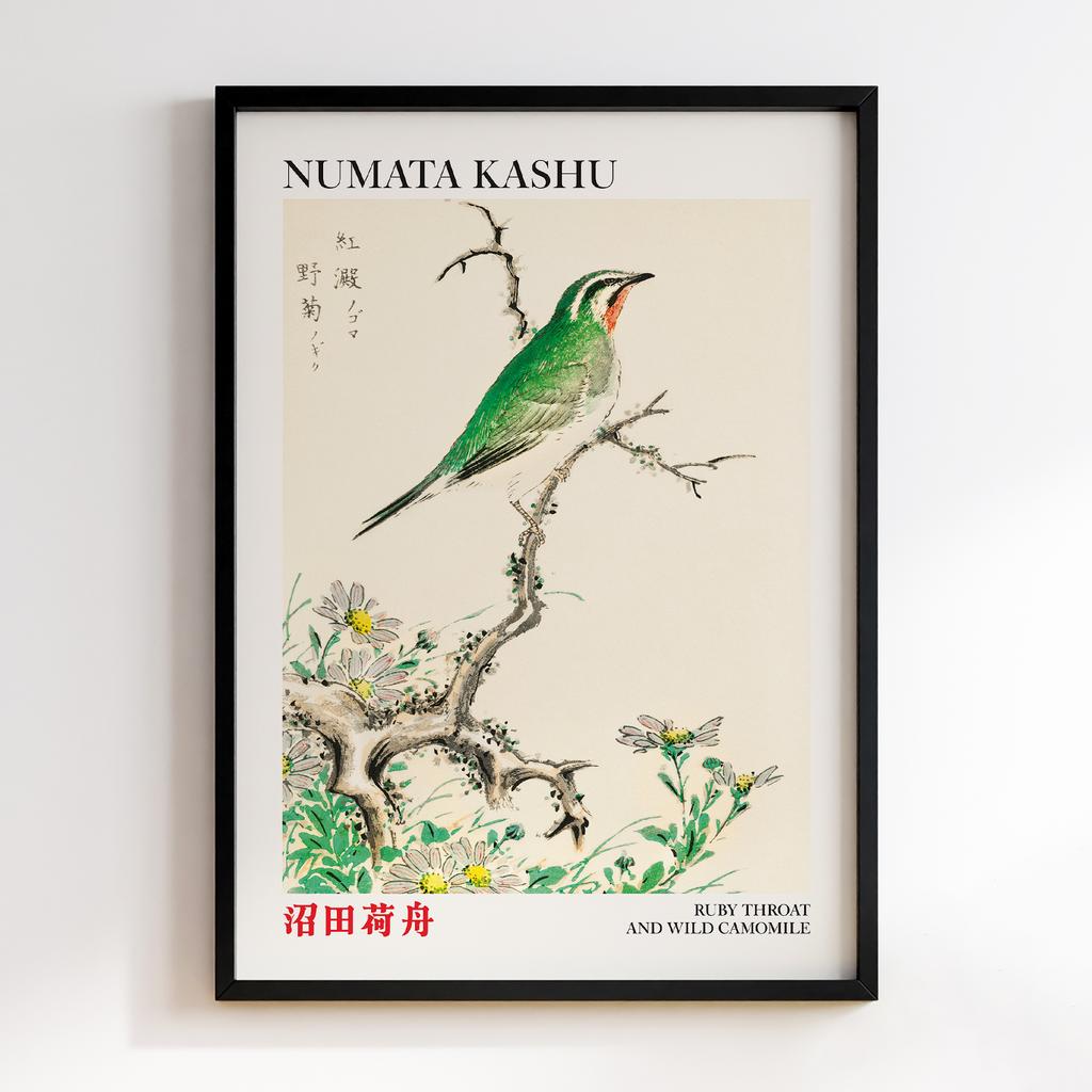 Постер Ruby Throat and Wild Camomile illustration by Numata Kashu