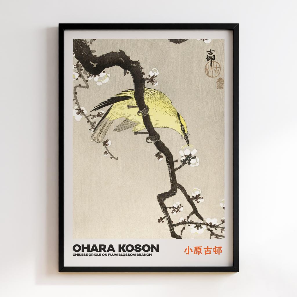 Постер CHINESE ORIOLE ON PLUM BLOSSOM BRANCH by Ohara Koson