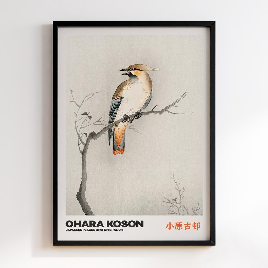 Постер JAPANESE PLAGUE BIRD ON BRANCH by Ohara Koson