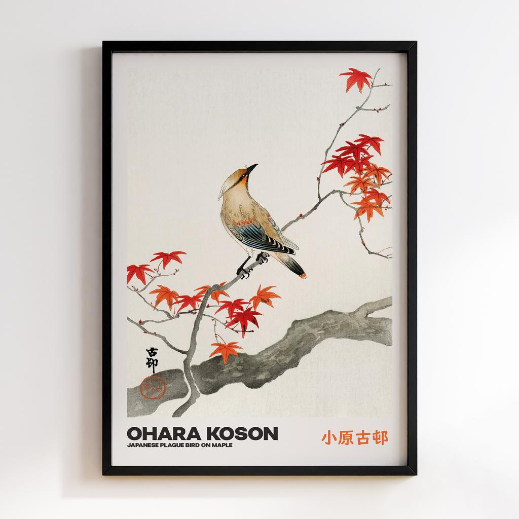 Постер JAPANESE PLAGUE BIRD ON MAPLE by Ohara Koson