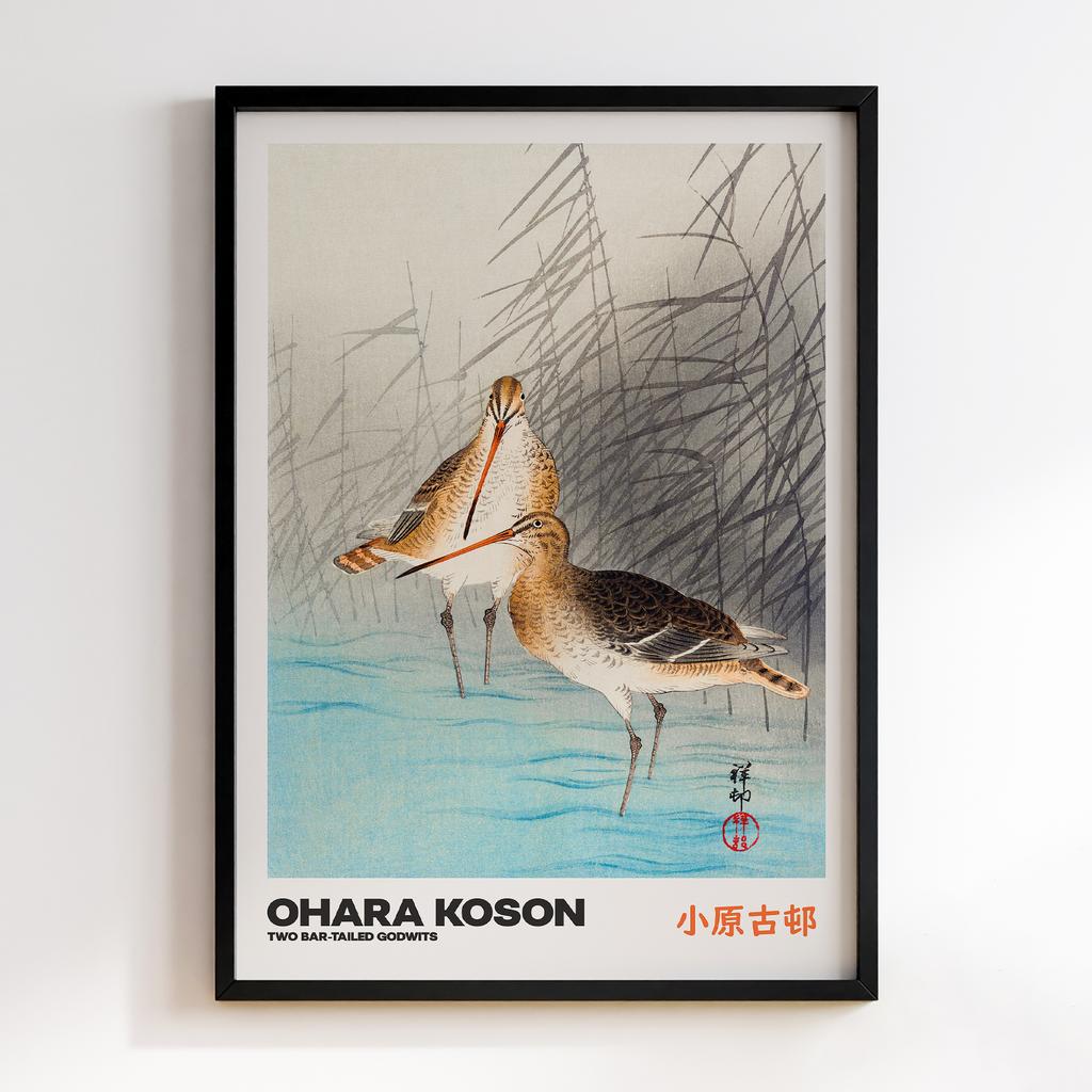 Постер TWO BAR-TAILED GODWITS by Ohara Koson