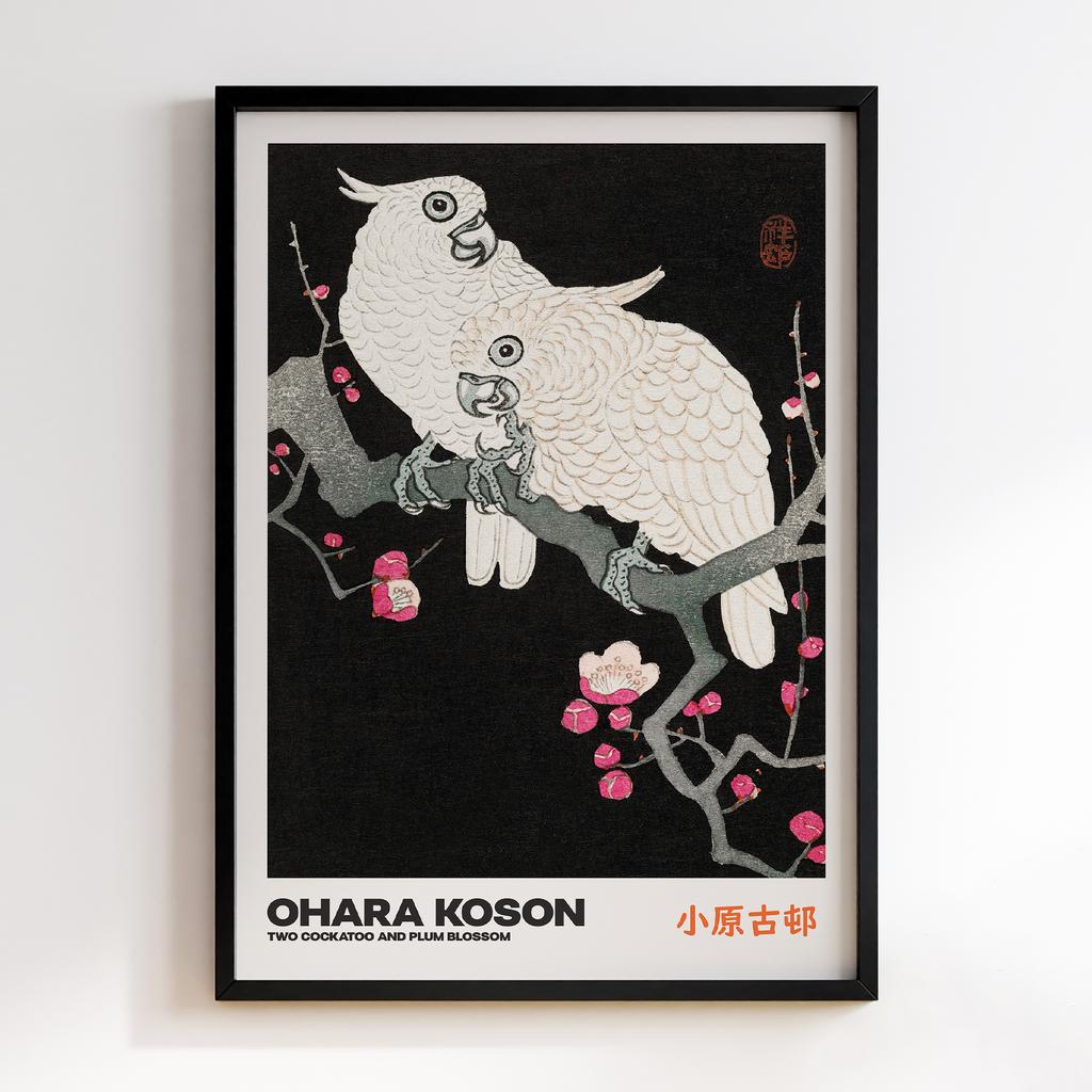 Постер TWO COCKATOO AND PLUM BLOSSOM by Ohara Koson