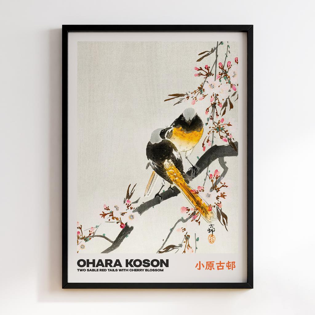 Постер TWO SABLE RED TAILS WITH CHERRY BLOSSOM by Ohara Koson