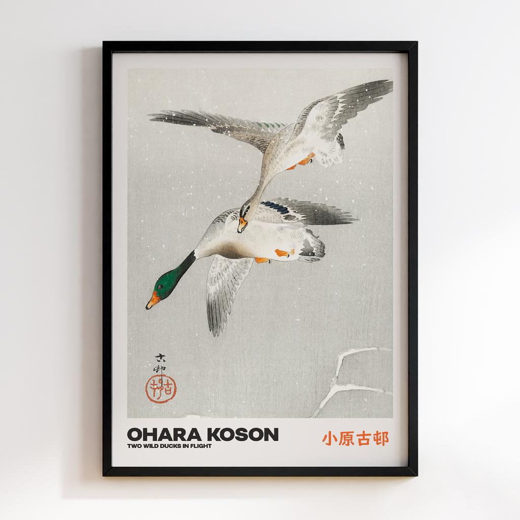 Постер TWO WILD DUCKS IN FLIGHT by Ohara Koson