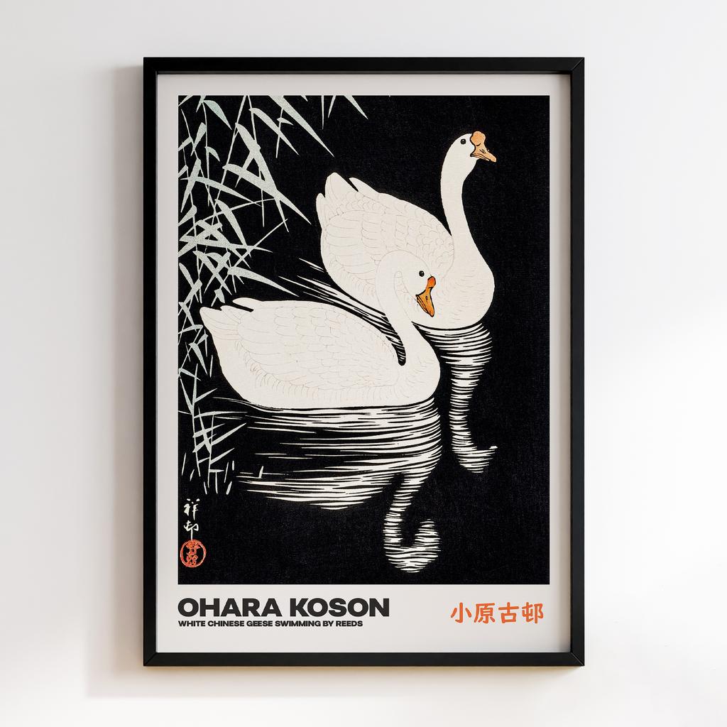 Постер WHITE CHINESE GEESE SWIMMING BY REEDS by Ohara Koson