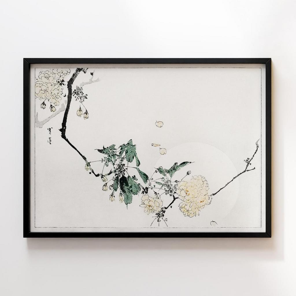 Постер Cherry blossom, illustration from Bijutsu Sekai (1893-1896) by Watanabe Seitei