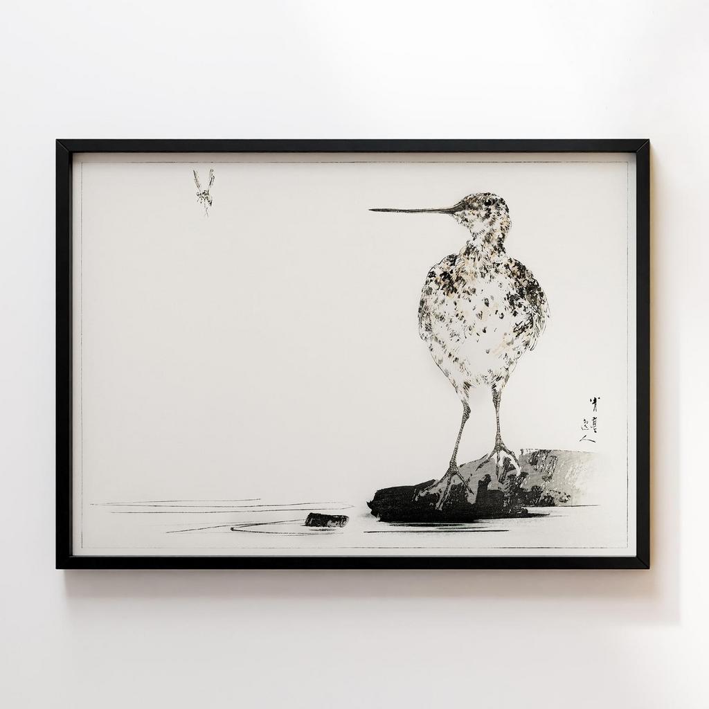 Постер Common snipe, illustration from Bijutsu Sekai (1893-1896) by Watanabe Seitei