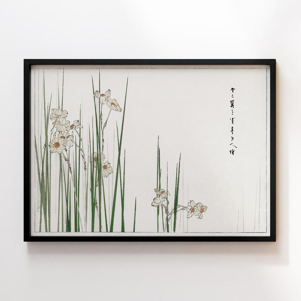 Постер Jonquil illustration from Bijutsu Sekai (1893-1896) by Watanabe Seitei