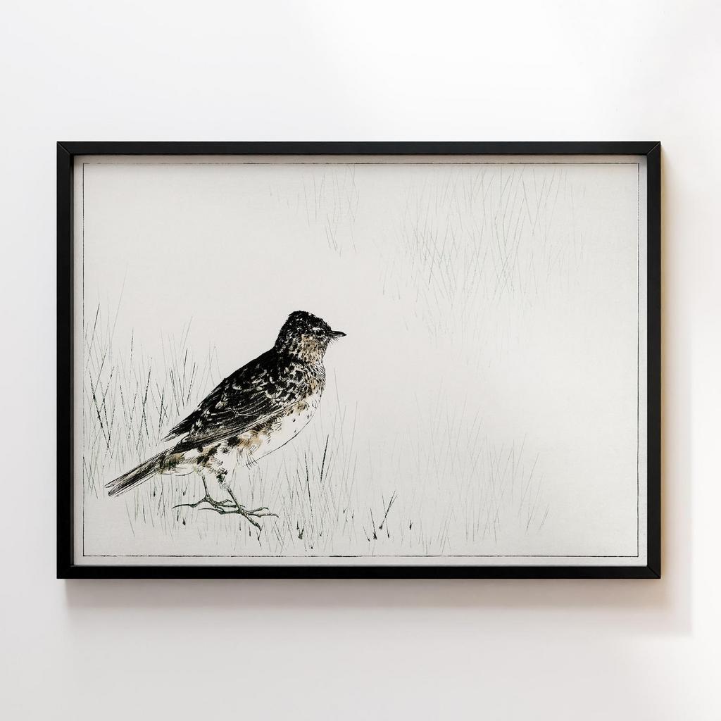 Постер Skylark illustration from Bijutsu Sekai (1893-1896) by Watanabe Seitei