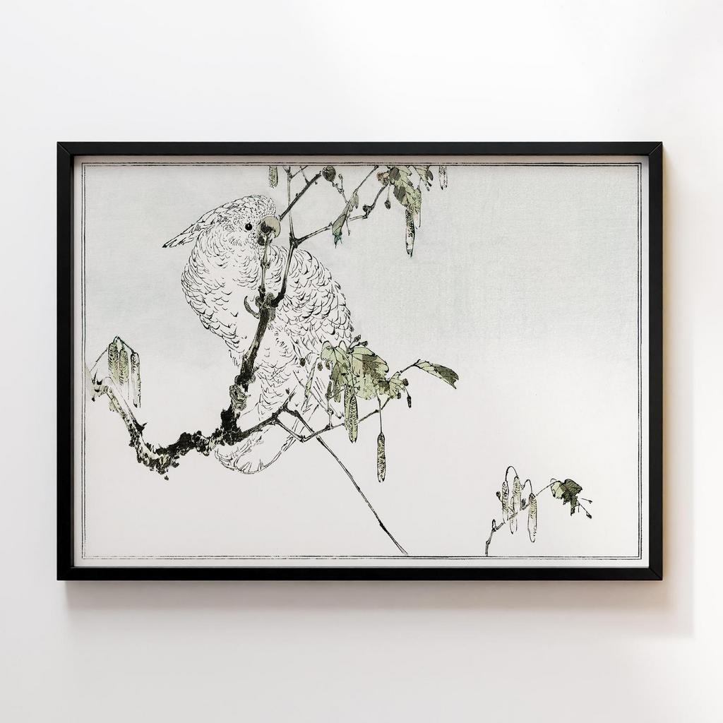 Постер White cockatoo perched on a branch. Illustration (1890–1891) by Wantanabe Seitei
