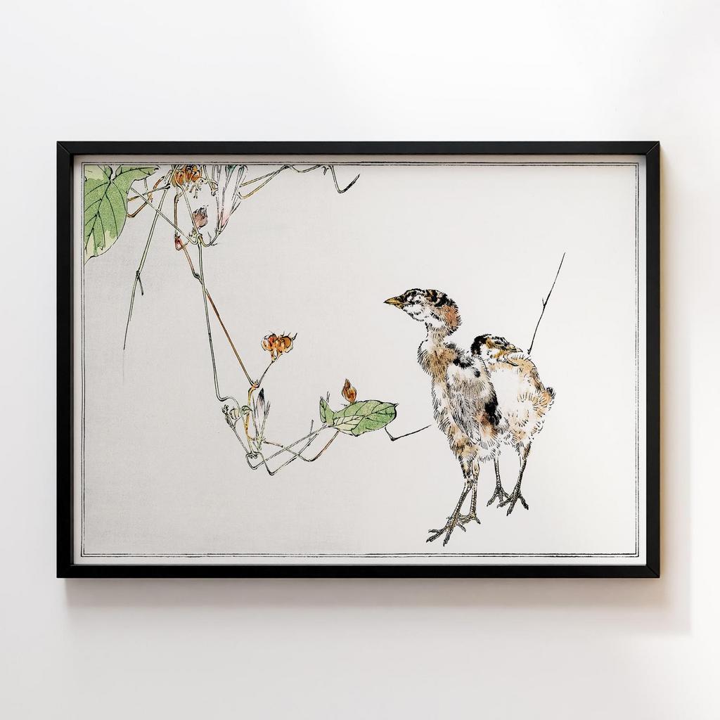 Постер Wild ducklings illustration from Seitei Kacho Gafu (1890–1891) by Wantanabe Seitei