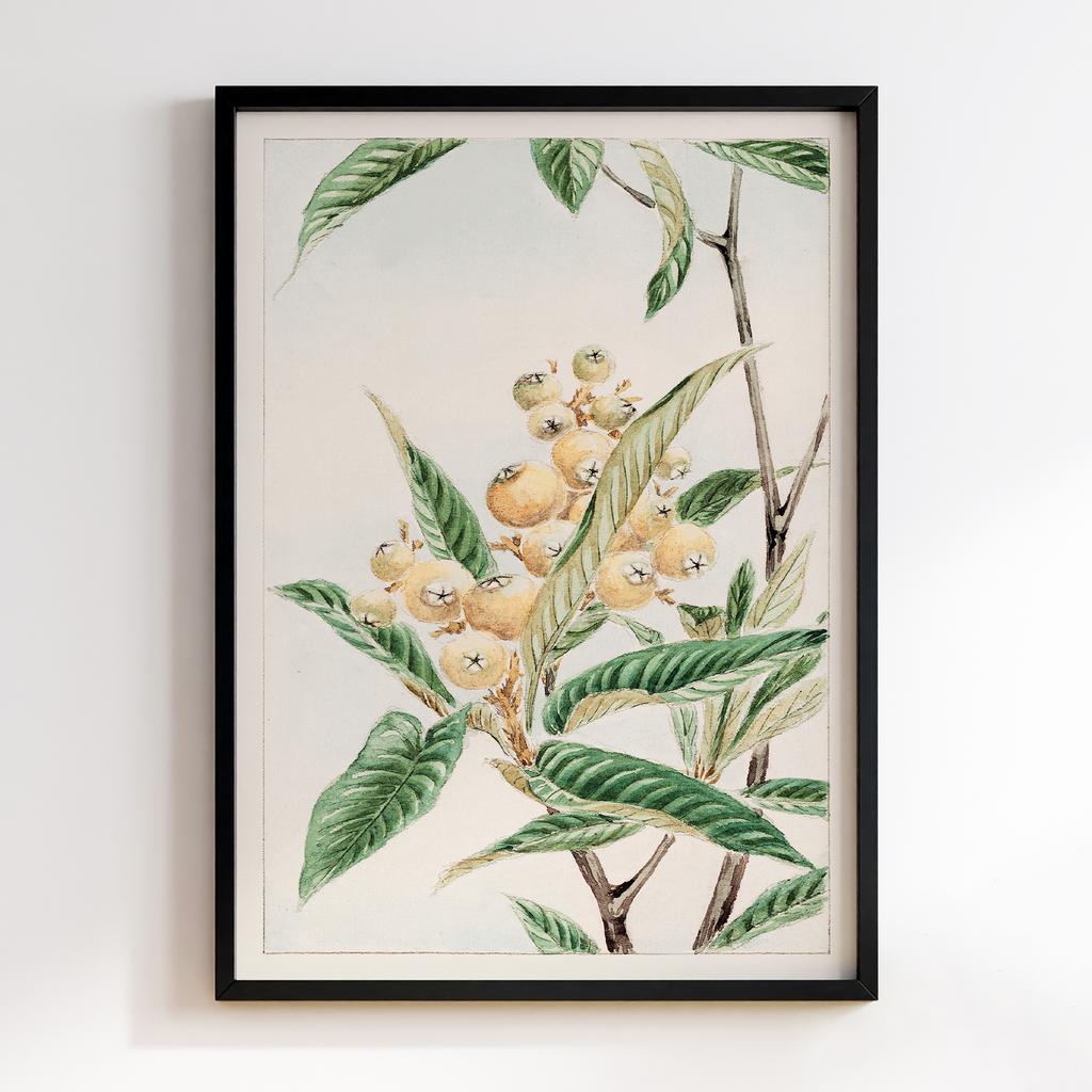 Постер Biwa loquat during 1870–1880 by Megata Morikaga #01