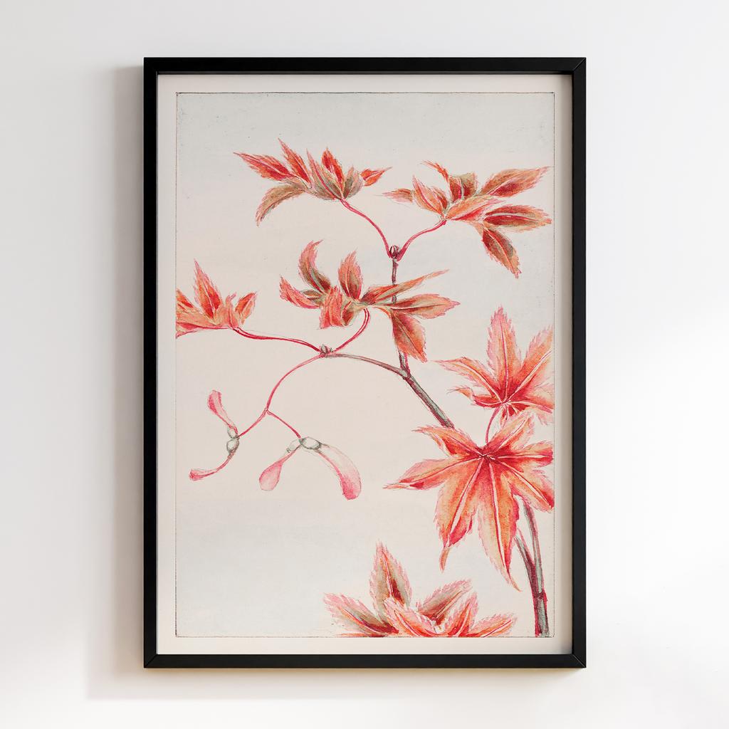 Постер Branch of Momiji maple tree with leaves and seeds during 1870–1880 by Megata Morikaga #01