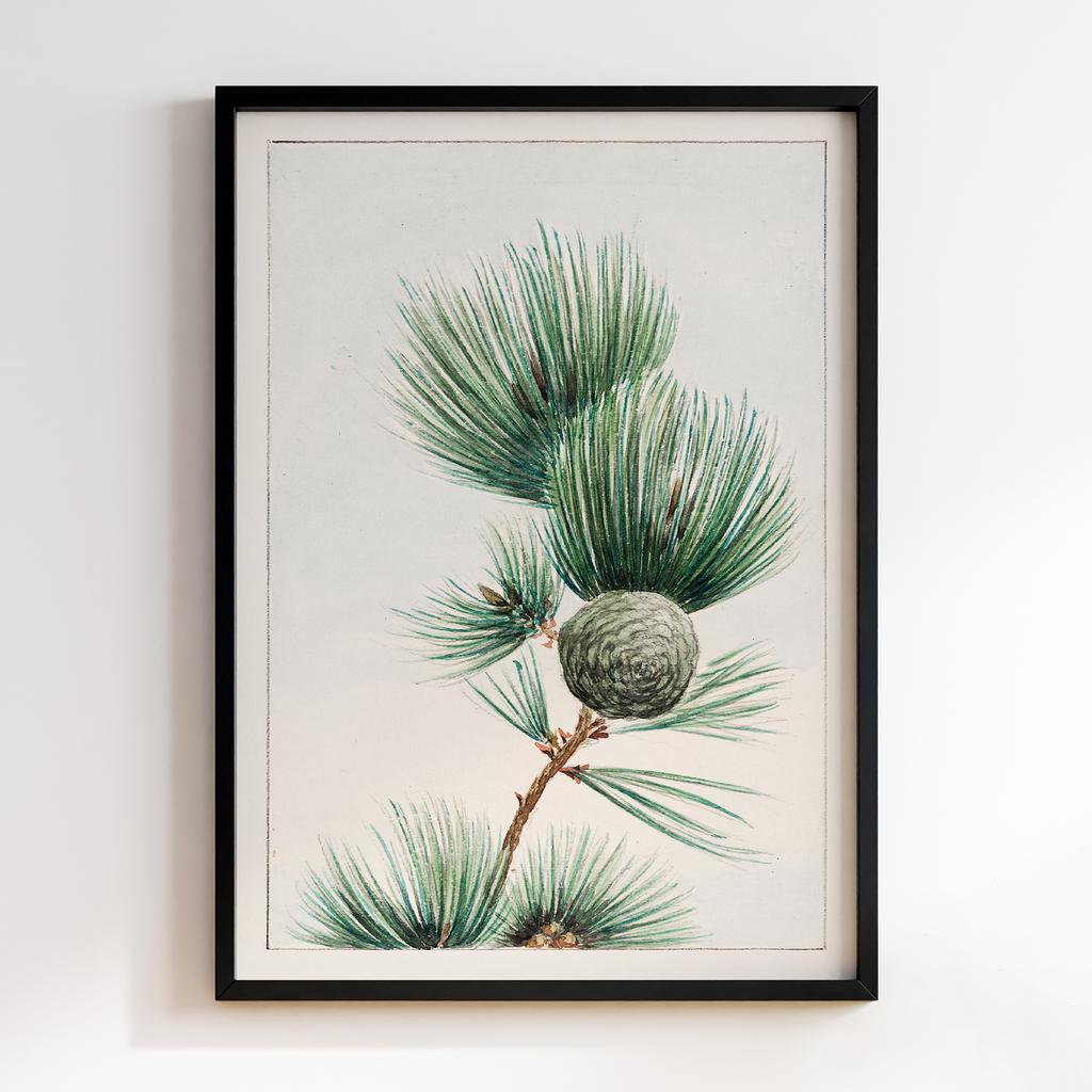 Постер Gayo matsu pine during 1870–1880 by Megata Morikaga #01