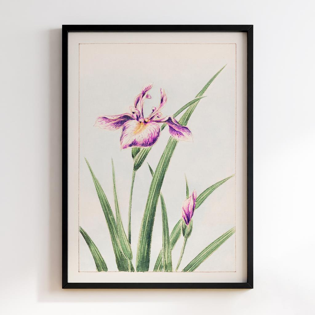 Постер Hana–strobel during 1870–1880 by Megata Morikaga #01