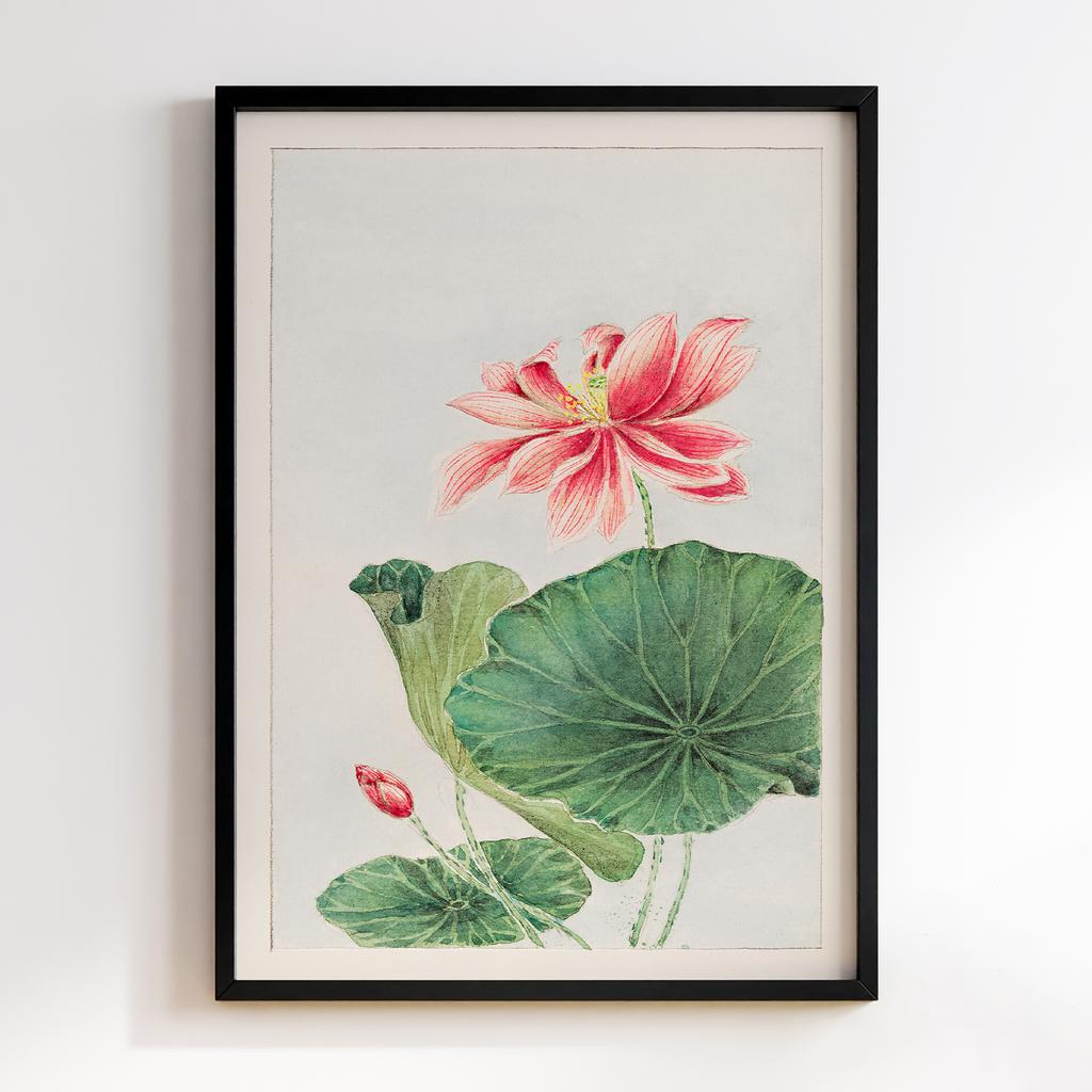 Постер Hasu (lotus) during 1870–1880 by Megata Morikaga #01