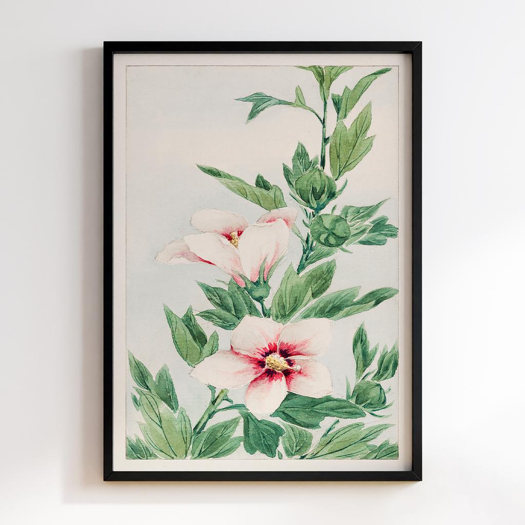 Постер Hibiscus plant during 1870–1880 by Megata Morikaga #01