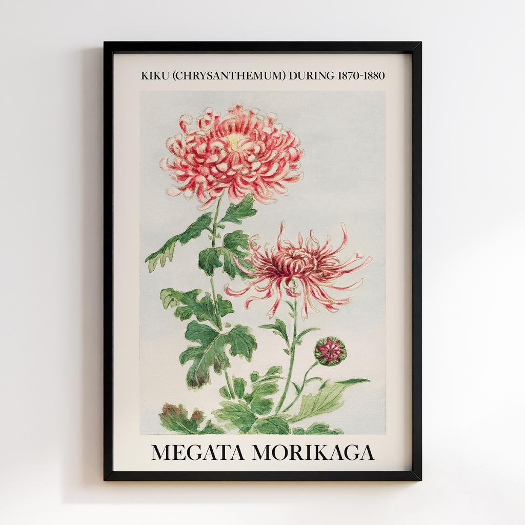 Постер Kiku (chrysanthemum) during 1870–1880 by Megata Morikaga #02