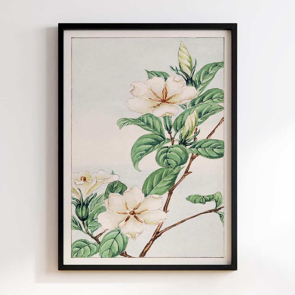 Постер Kuchi nashi (cape jasmine) during 1870–1880 by Megata Morikaga #01