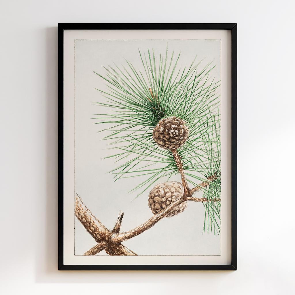 Постер Matsu pine during 1870–1880 by Megata Morikaga #01