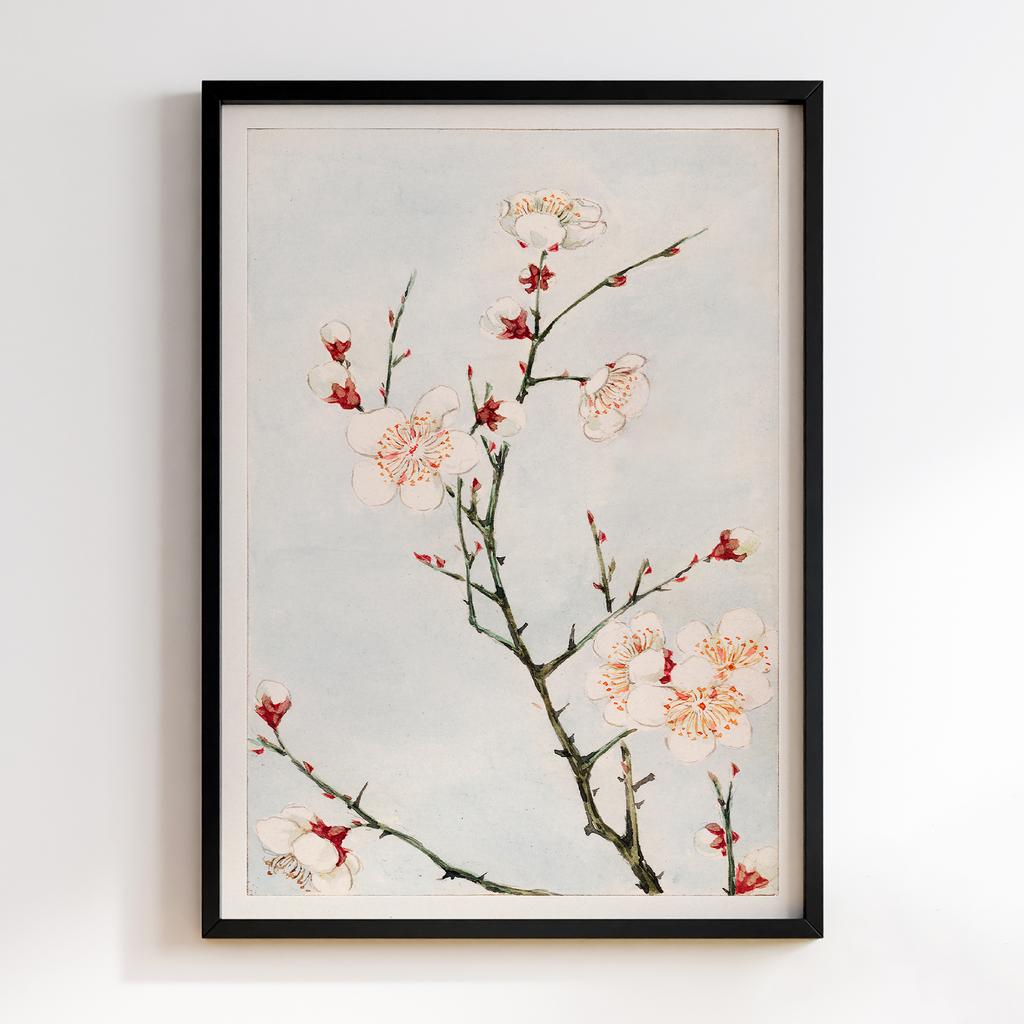 Plum branches with blossoms during 1870–1880 by Megata Morikaga #01
