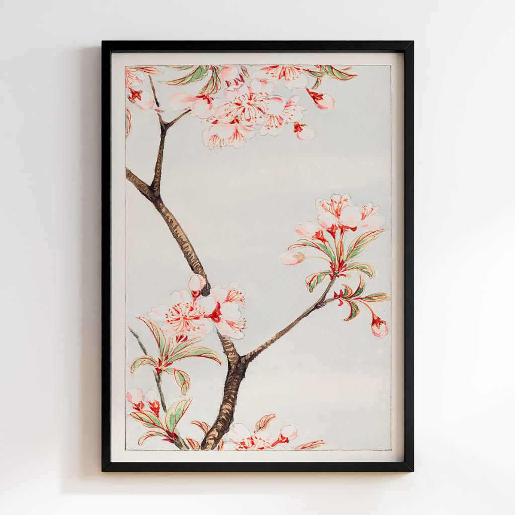Sakura cherry during 1870–1880 by Megata Morikaga #01