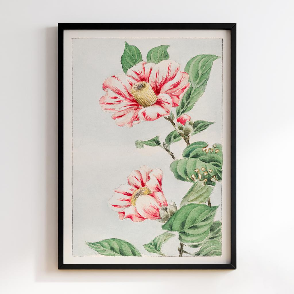 Постер Tsubaki camelia during 1870–1880 by Megata Morikaga. Original from Library of Congress #01