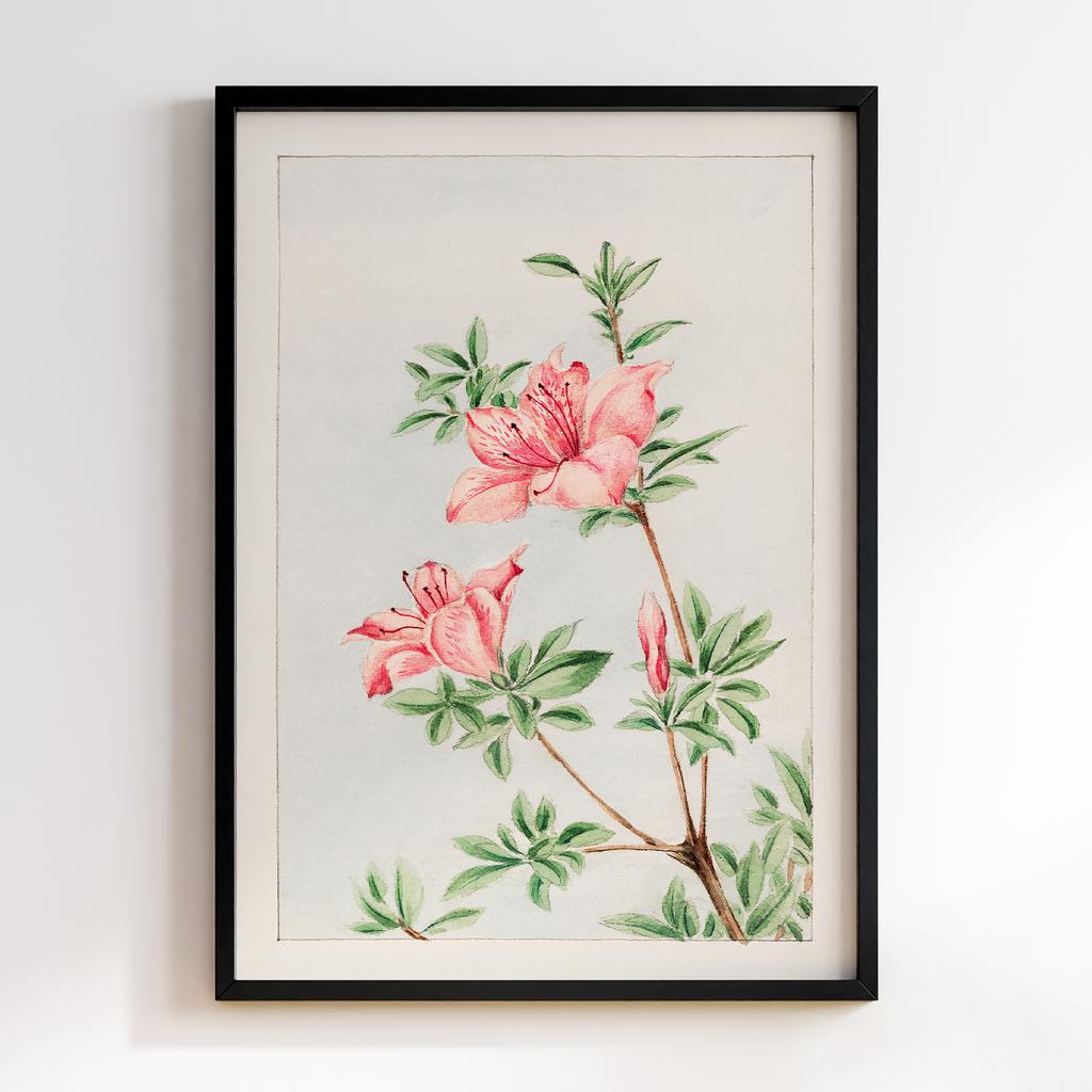 Постер Tsutsuji rhododendron Judicum (azalea) duri ng 1870–1880 by Megata Morikaga #01