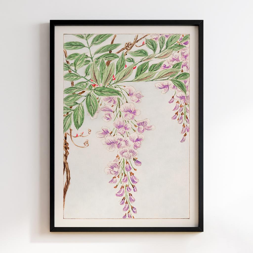 Постер Wisteria vine with leaves and blossoms during 1870–1880 by Megata Morikaga #01