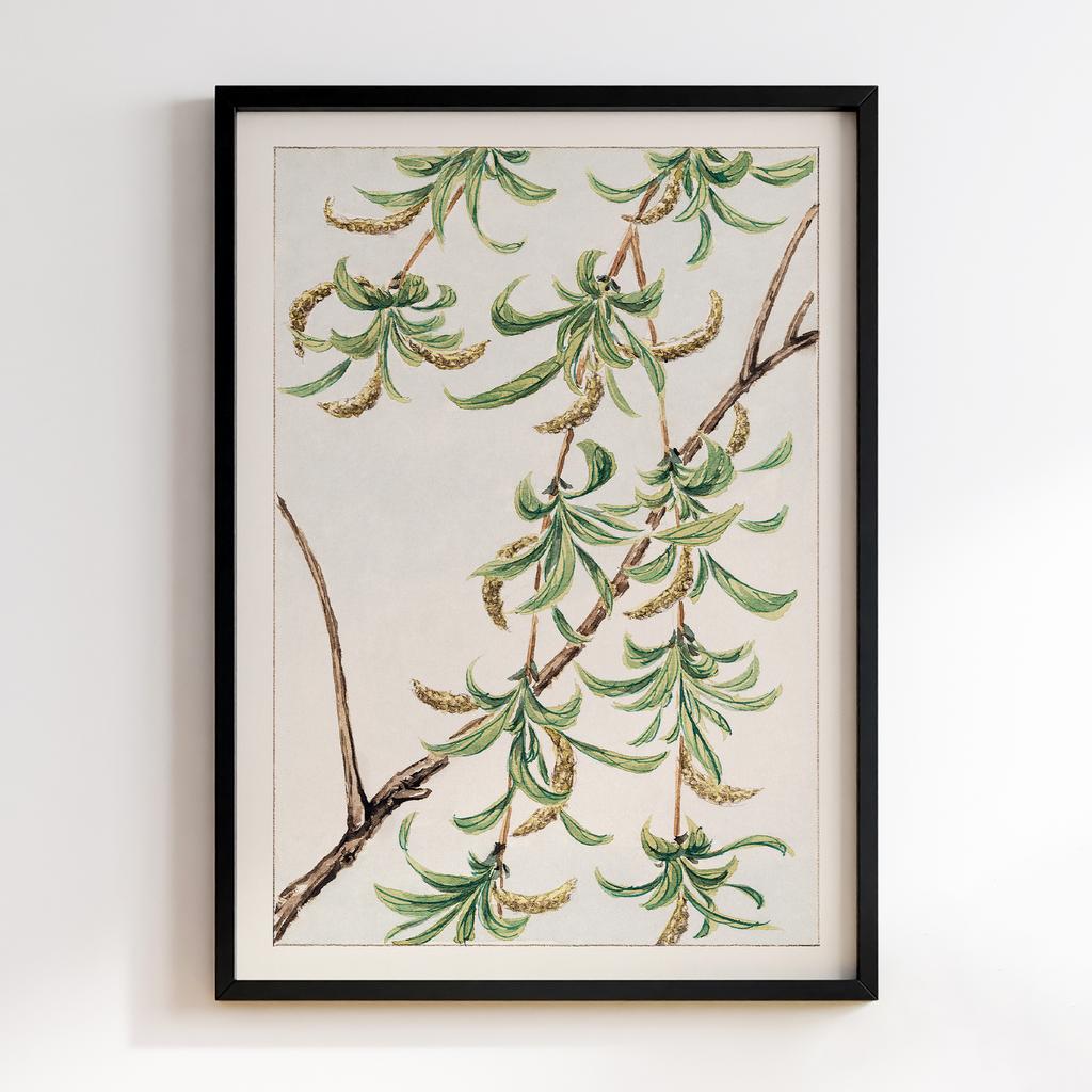 Постер Yanagi (willow) during 1870–1880 by Megata Morikaga #02