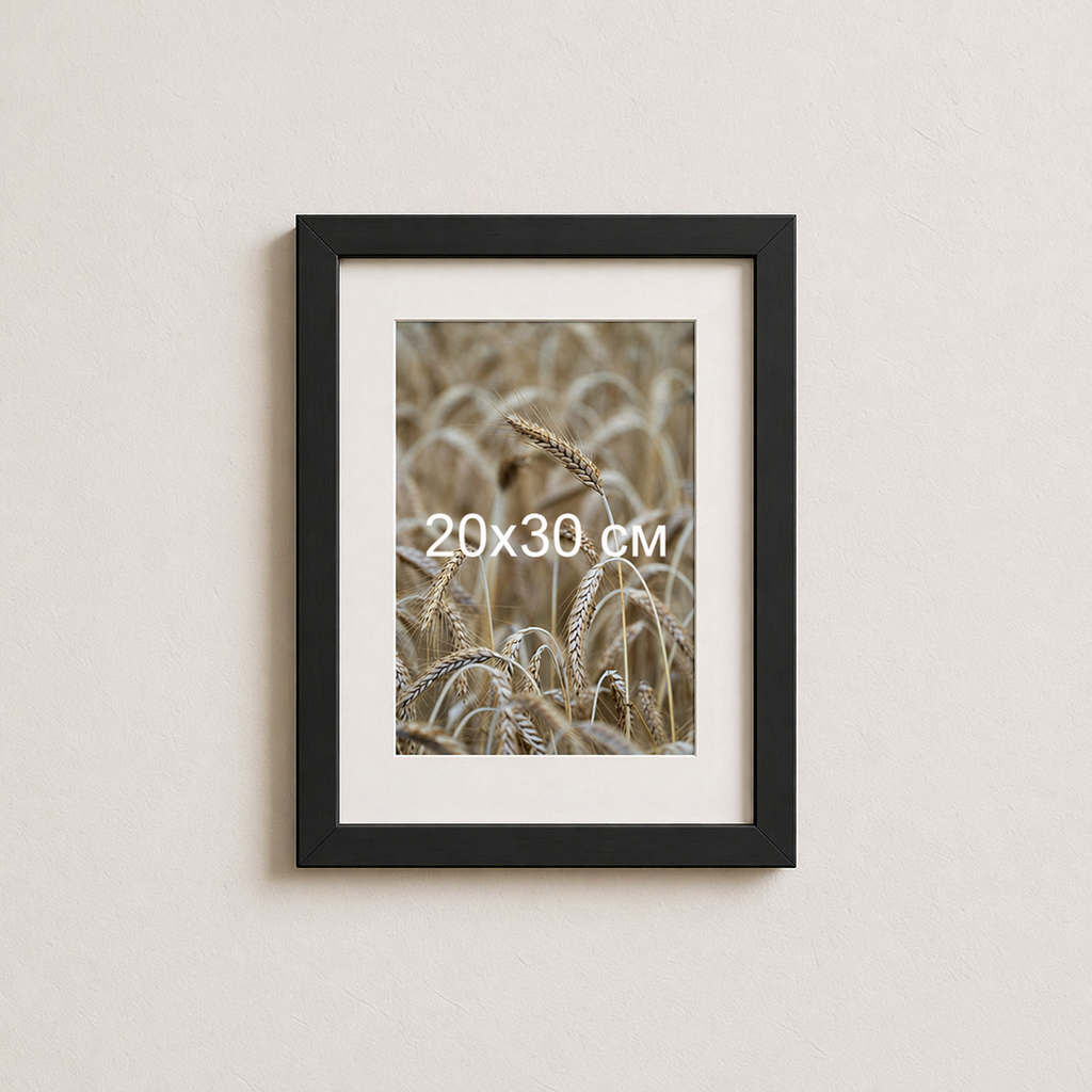 Чорна рама з білим паспарту пластикова настінна універсальна 20×30 Black Frame