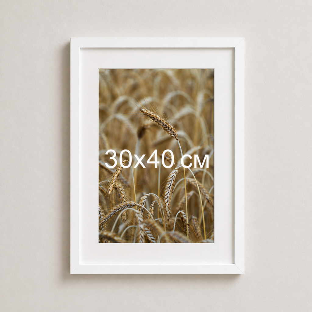 Біла рама з паспарту пластикова настінна універсальна 30×40 White Frame