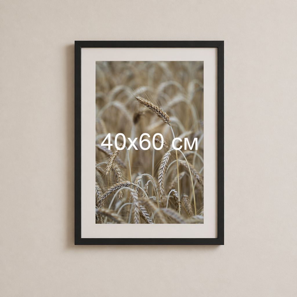 Чорна рама з паспарту пластикова настінна універсальна 40×60 Black Frame