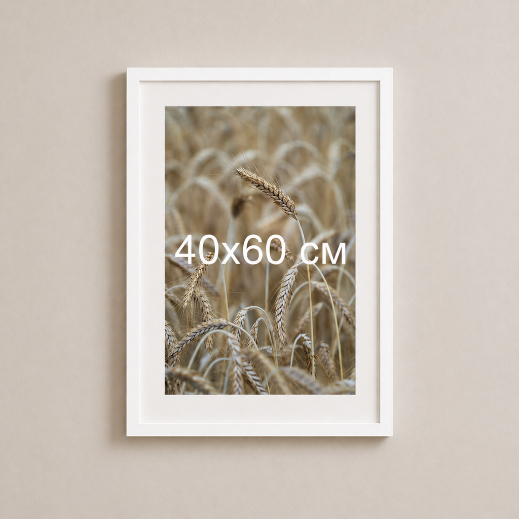 Біла рама з паспарту пластикова настінна універсальна 40×60 White Frame