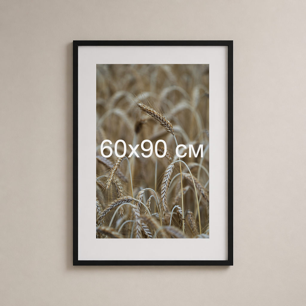 Чорна рама з паспарту пластикова настінна універсальна 60×90 Black Frame