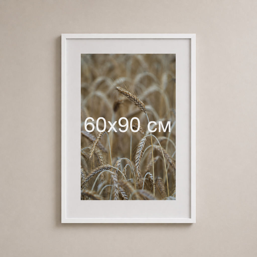 Біла рама з паспарту пластикова настінна універсальна 60×90 White Frame
