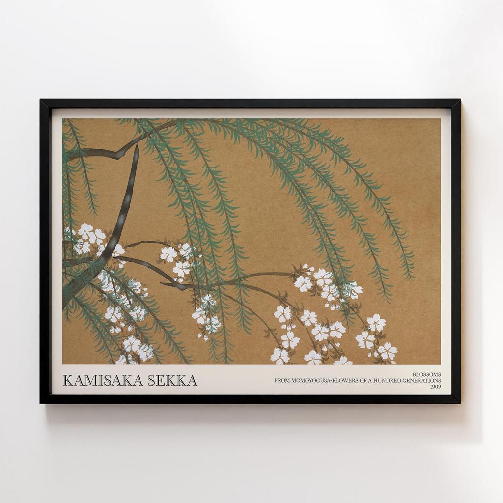 Постер Blossoms from Momoyogusa–Flowers of a Hundred Generations (1909) by Kamisaka Sekka #1
