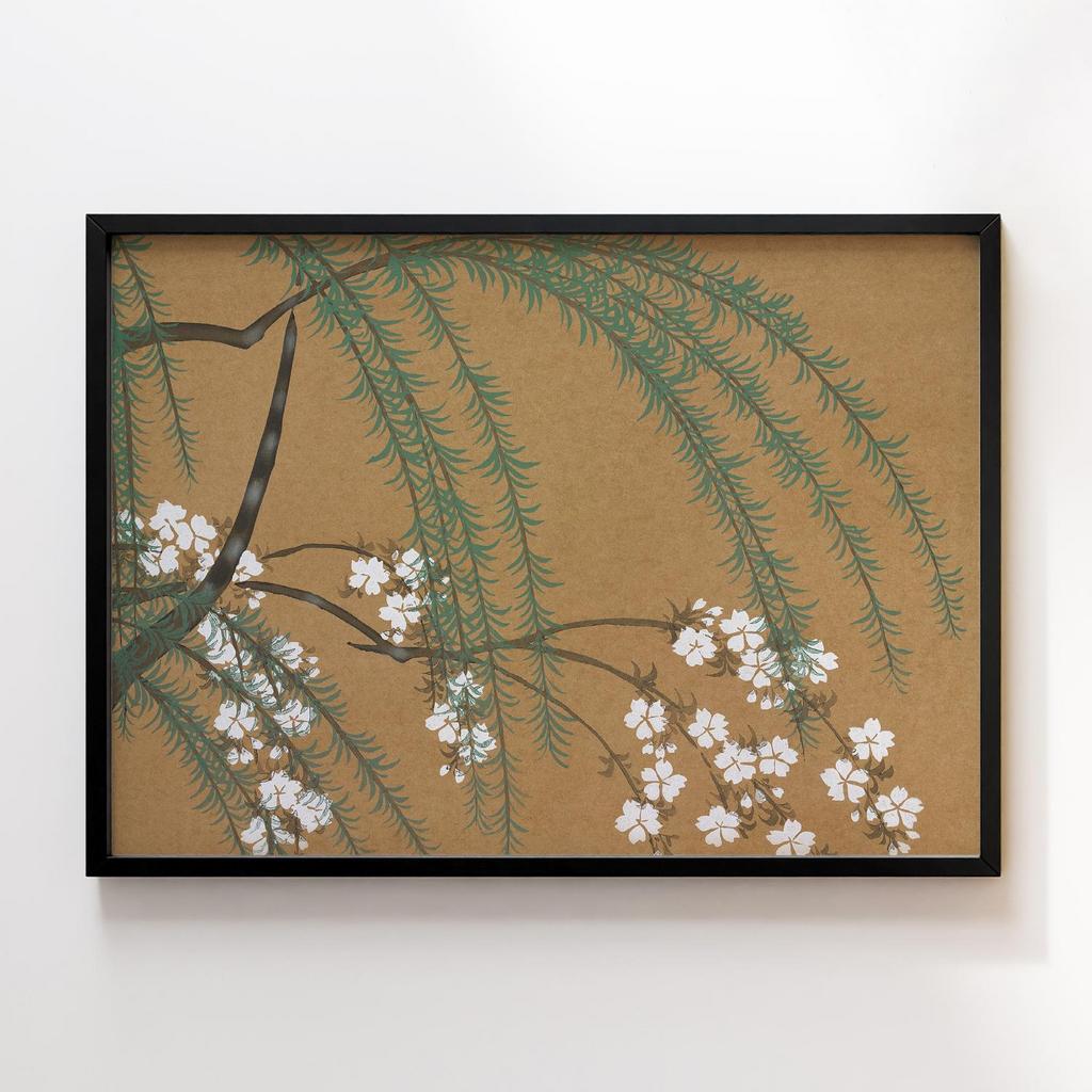 Постер Blossoms from Momoyogusa–Flowers of a Hundred Generations (1909) by Kamisaka Sekka #2