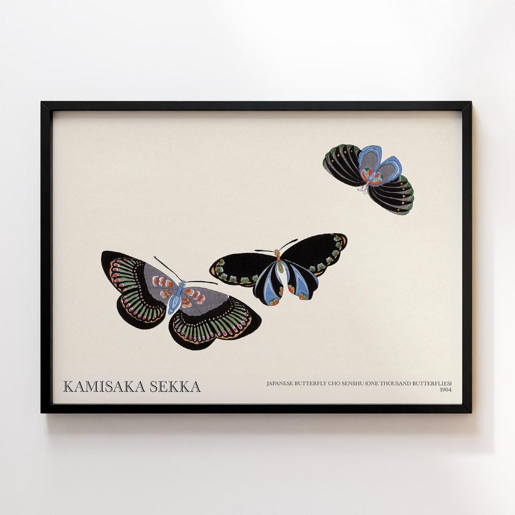 Постер Japanese butterfly by Kamisaka Sekka's Cho senshu (One Thousand Butterflies) 1904 #19