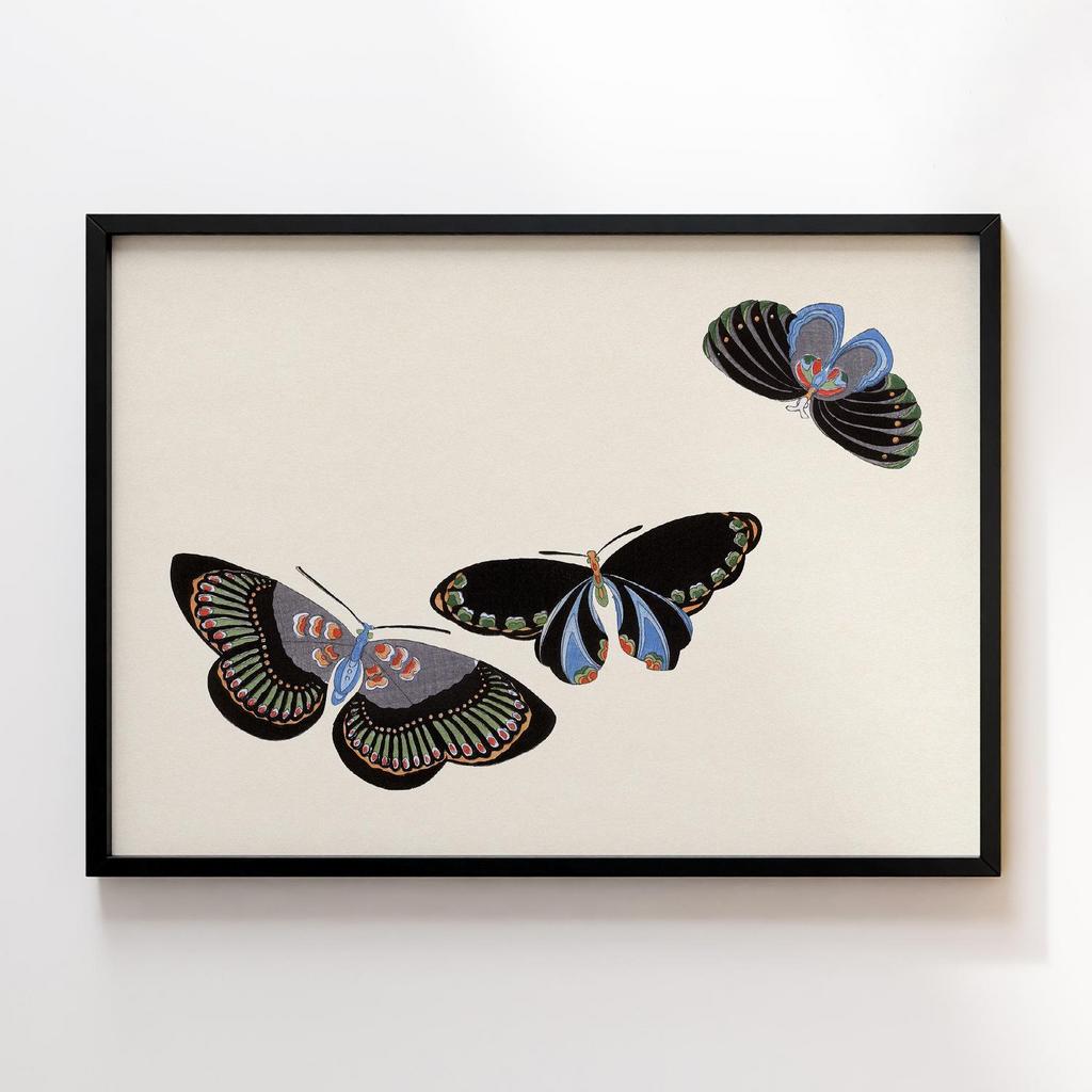 Постер Japanese butterfly by Kamisaka Sekka's Cho senshu (One Thousand Butterflies) 1904 #18